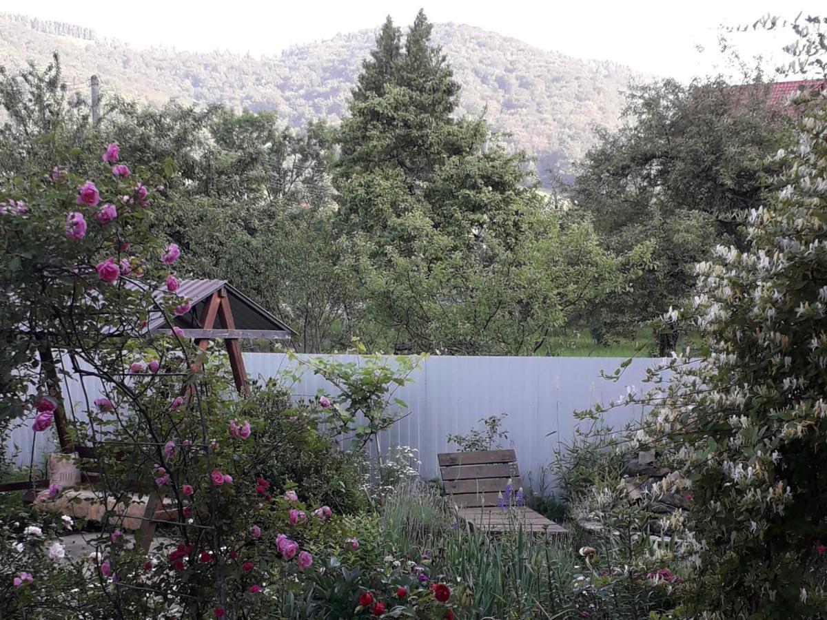 Лаванда Yaremche Exterior foto