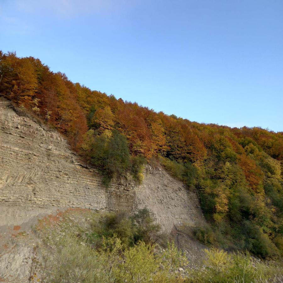 Лаванда Yaremche Exterior foto